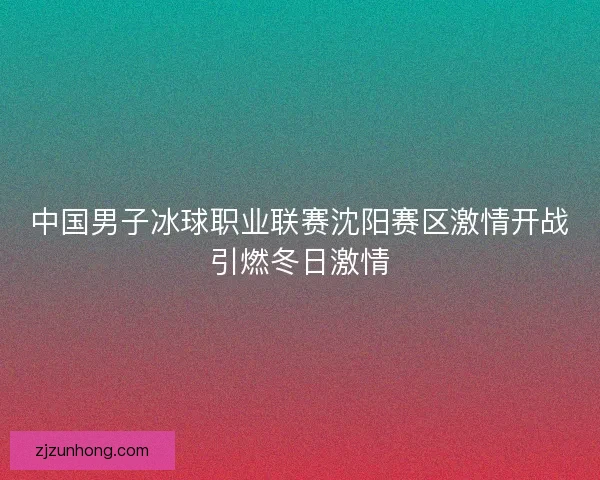 中国男子冰球职业联赛沈阳赛区激情开战引燃冬日激情