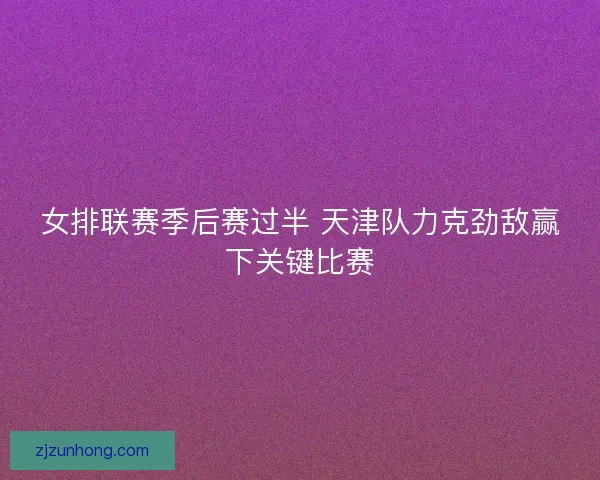 女排联赛季后赛过半 天津队力克劲敌赢下关键比赛