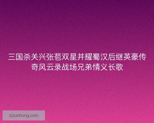三国杀关兴张苞双星并耀蜀汉后继英豪传奇风云录战场兄弟情义长歌